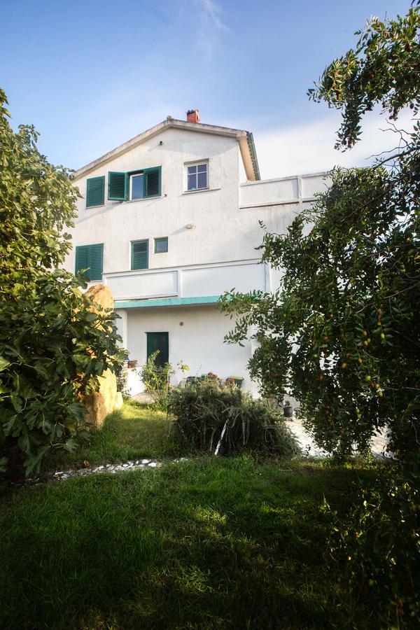 Lucija Apartment Kampor Exterior photo